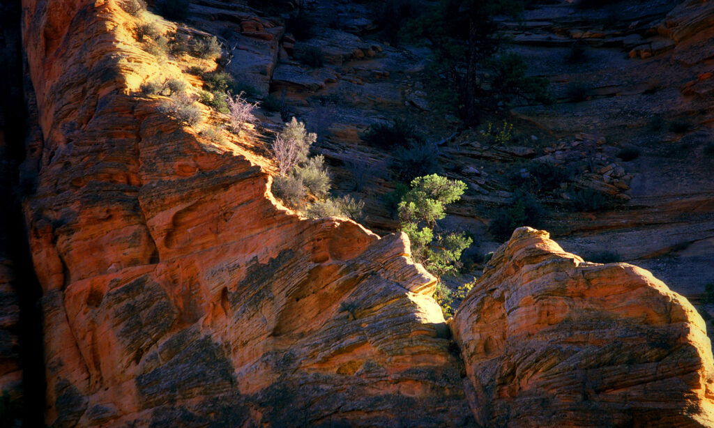 A scene at Zion National Park